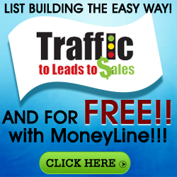 My Traffic Blog - Targeted Traffic... The lifeblood of any Website